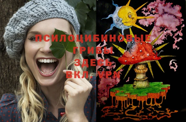 стаф Михайлов
