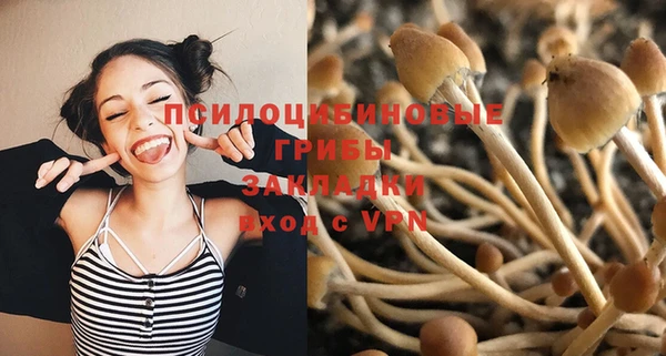 стаф Михайлов