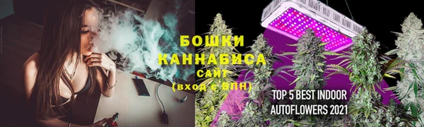мдпв Михайловск