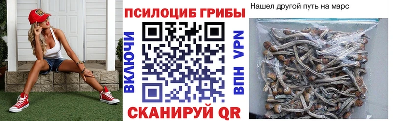 Галлюциногенные грибы Magic Shrooms  закладки  Рыбное 